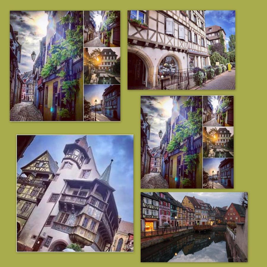 N¨°1 Schongauer Gite De Charme Centre Touristique Colmar Exterior photo